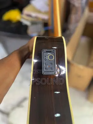 Semi Acoustic Guitar