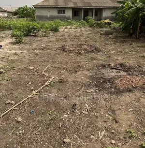 50by100 Plot of Land at Major Road Oreta Igbogbo Ikorodu Lagos