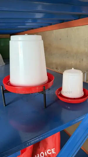 Indian Chick Drinker& Feeders Built For High-volume Poultry Operations