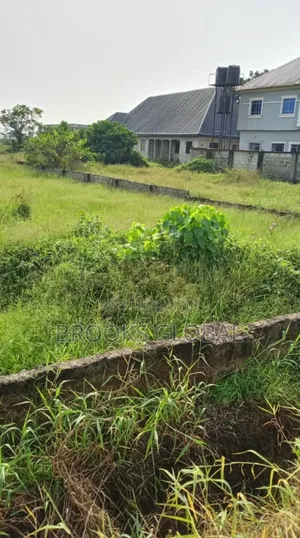 Land of 100/50 at Otokutu for Sale