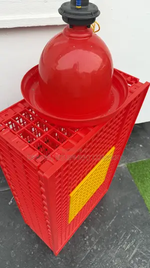 Indian Jumbo Bell Drinker,Transport Crates ,All Indian ,Buy Direct