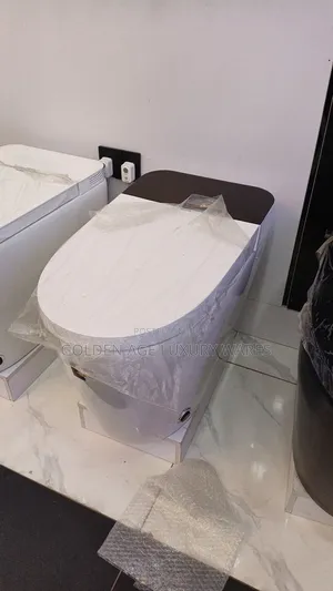 Smart Toilet System With Manual Function