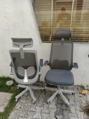 Modern Executive Mesh Gray Office Chair With Headrest and Lift Up Arms