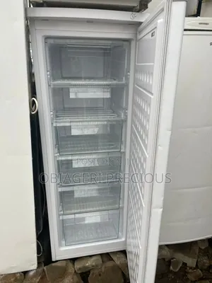6 Steps Standing Freezer