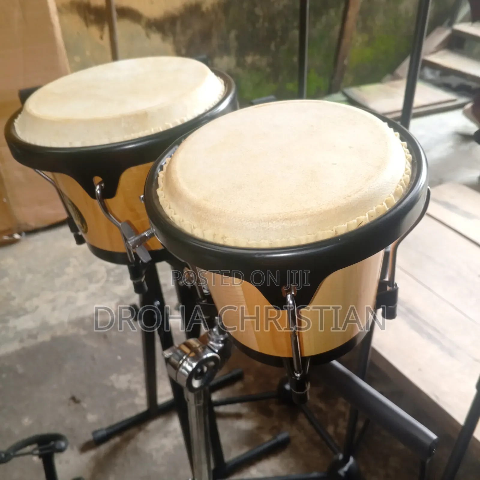 Professional Bongo