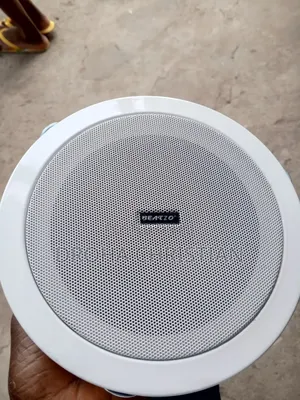 Ahuja Ceiling Speaker