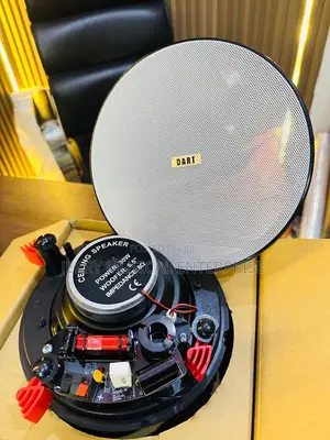 Dart Smart Amplifiers With Ceiling Speakers