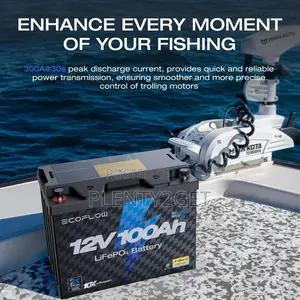 Ecoflow 12v 100ah Lifepo4 Battery, Built-in 100a