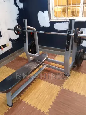 Flat Olympic Bench Press