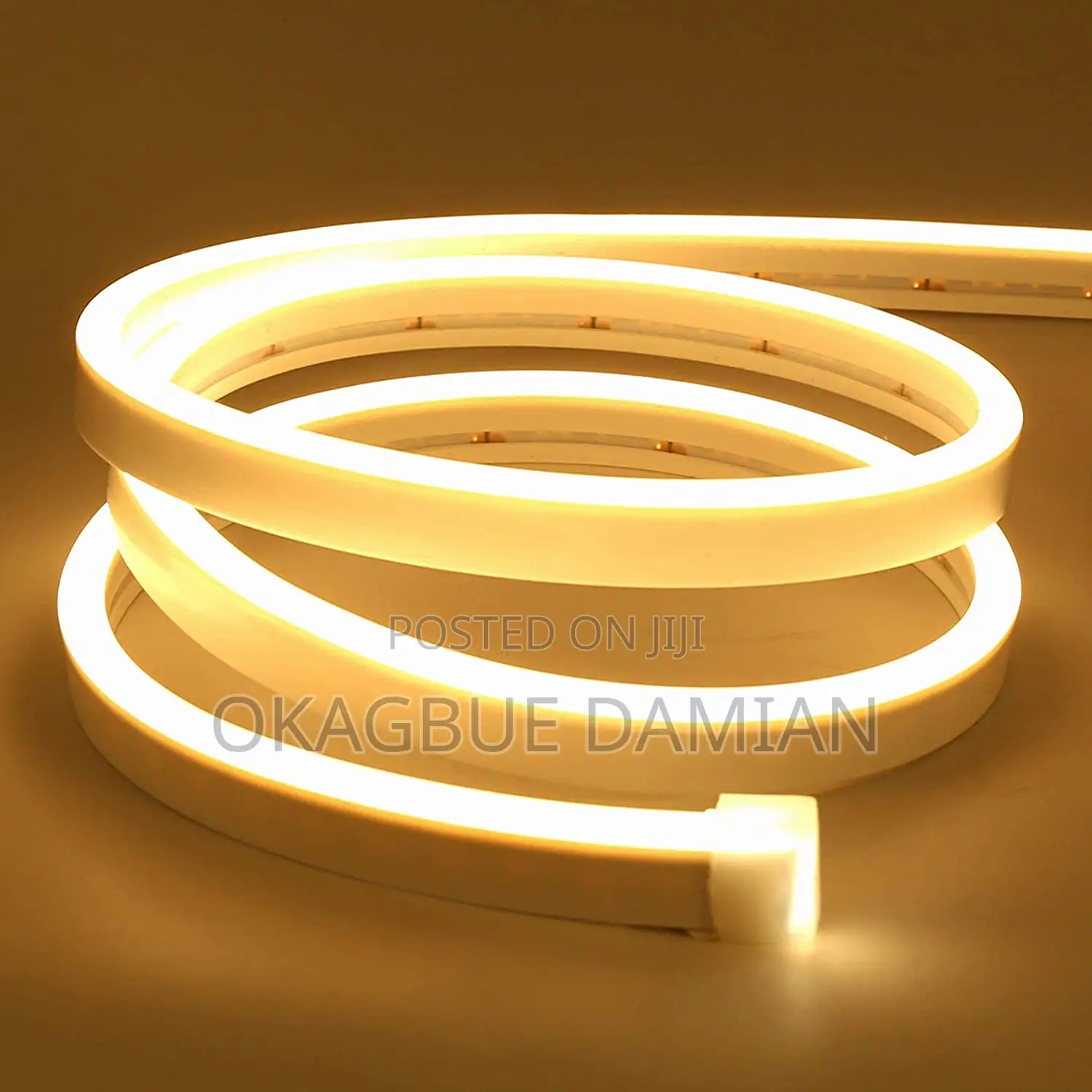 Neon Flexible Strip Lights