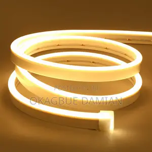 Neon Flexible Strip Lights