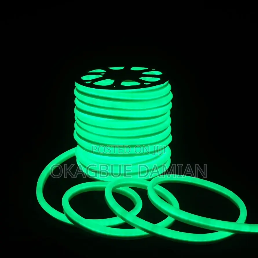 Neon Flexible Strip Lights