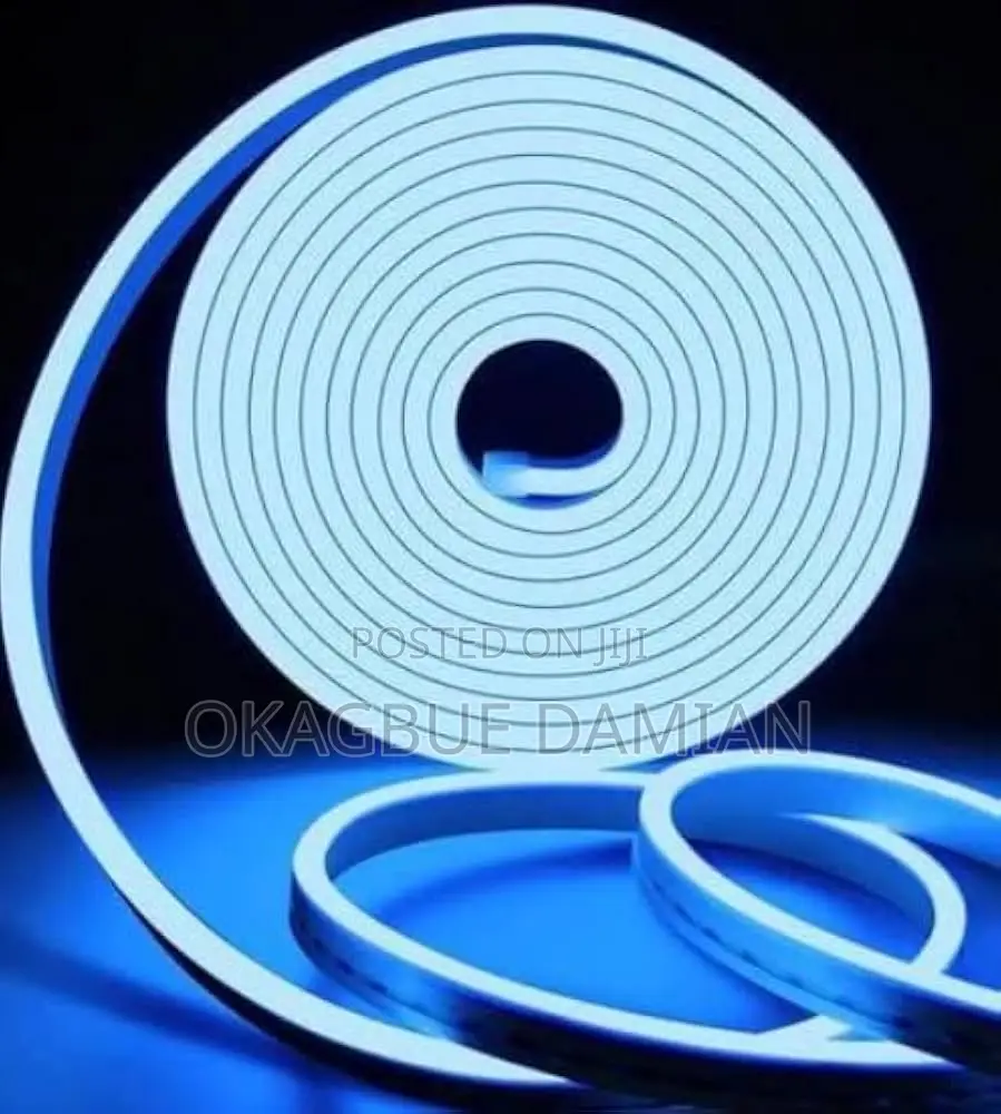 Neon Flexible Strip Lights