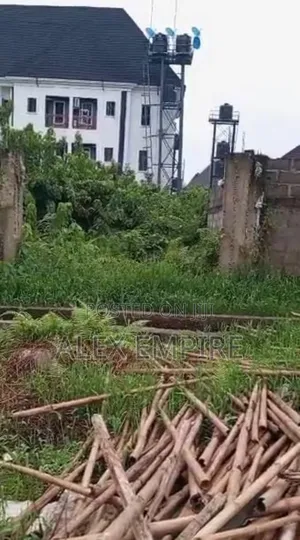 Half Plot of Land in Ago