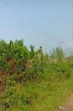 30 Plots of Land by the Express Way at Uba Pharmacy, Awoyaya for Sale