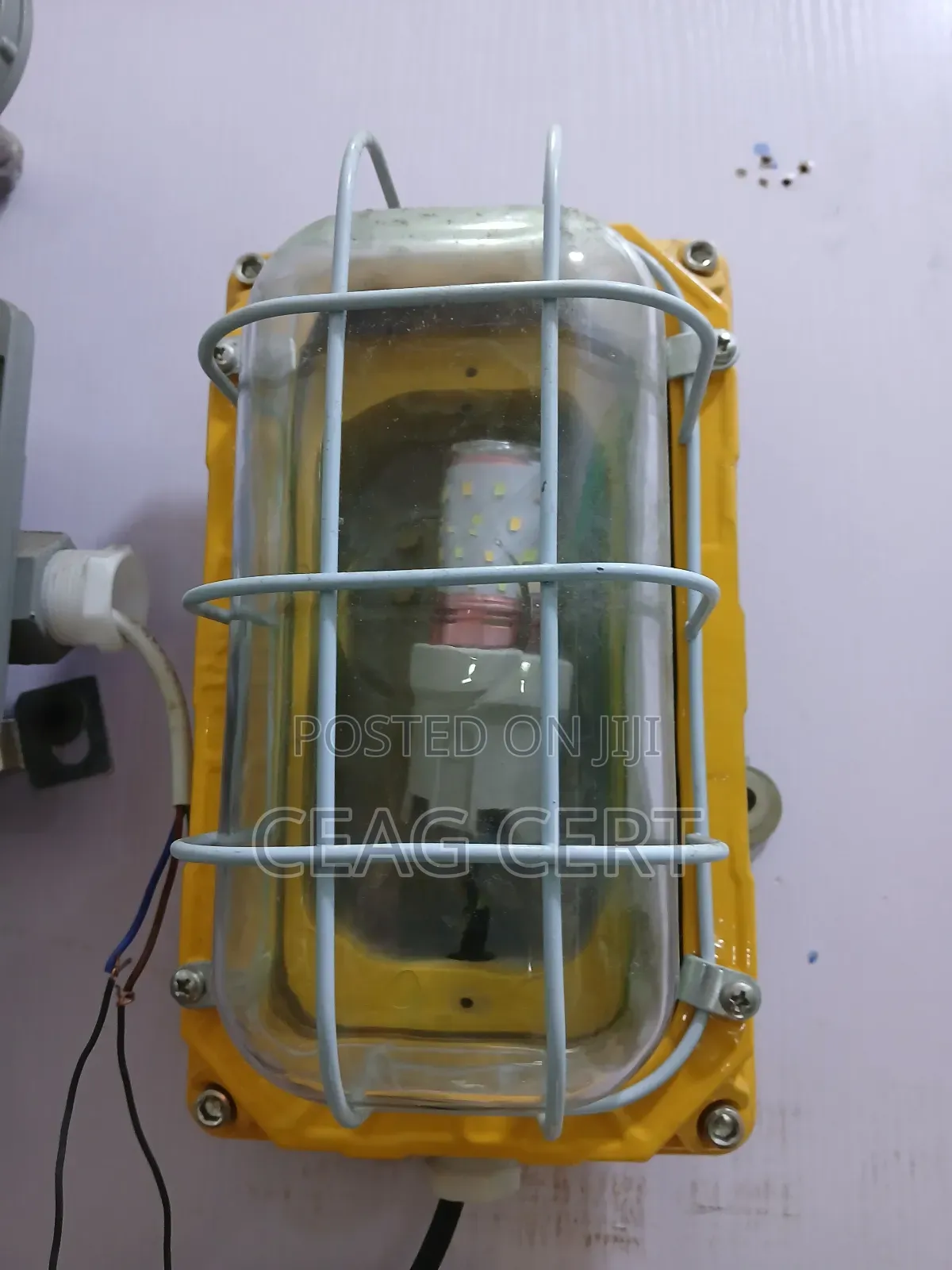 Explosion Proof Wall Light