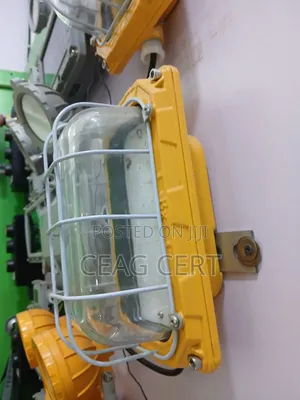 Led Explosion Proof Wall Light