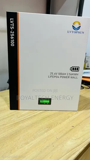 Lvtopsun 2.56kwh 25.6v Lithium Phosphate Batteries