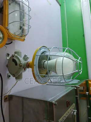 Explosion Proof Wall Light