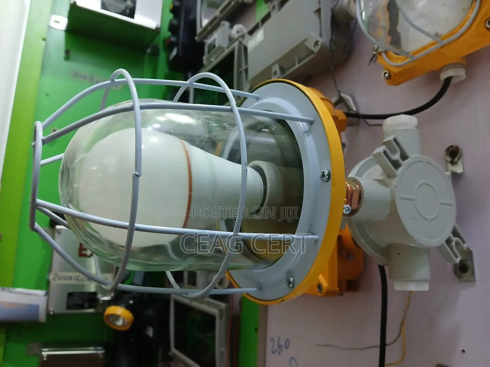Explosion Proof Wall Light