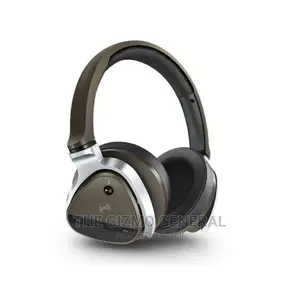 Aurvana Ear Headphone With Mic