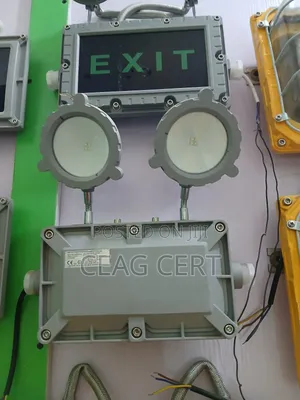Emergency Exist Light