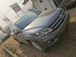 Volkswagen Tiguan 2013 Brown
