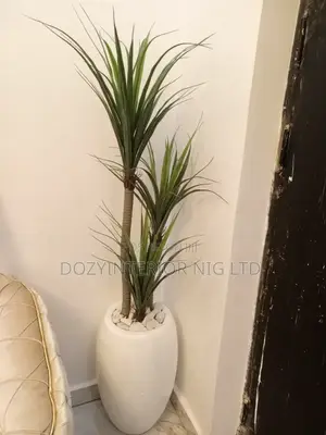 3in1 Flower and Pot