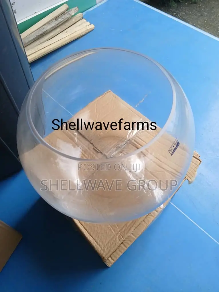 Imported Aquarium Fish Bowl
