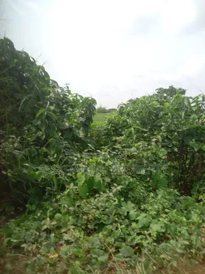 Well Planned Estate Land