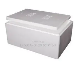 Styrofoam Box
