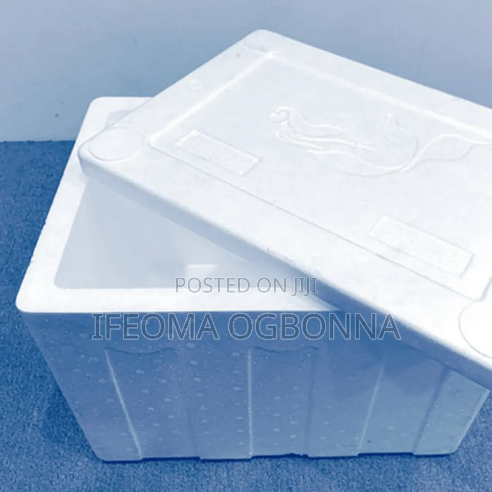 Styrofoam Box