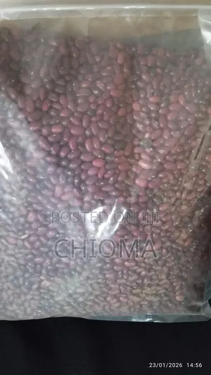 Neatly Picked Kidney Beans