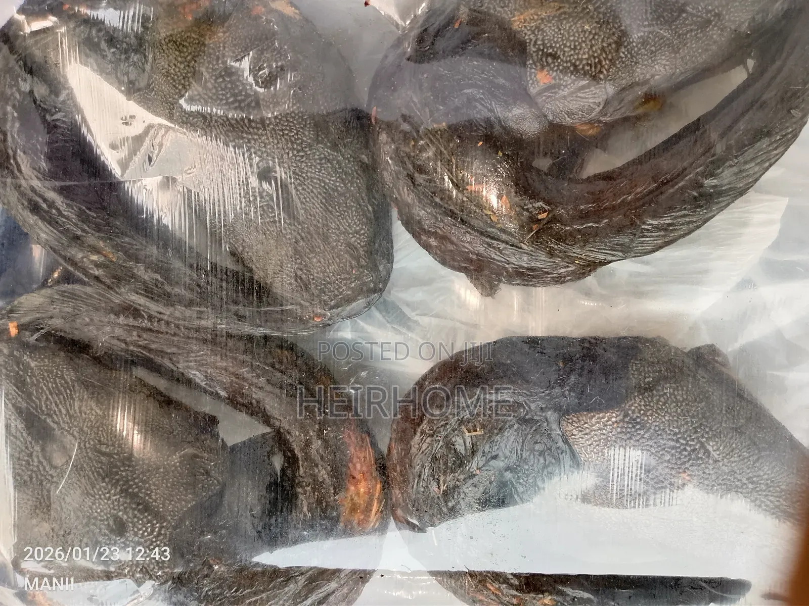 Smoked /Dried Catfish