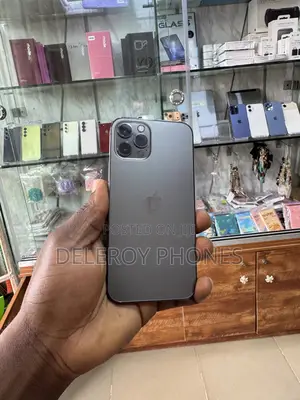 Apple iPhone 12 Pro 256 GB Gray