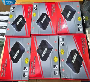 Dual Digital Battery Charger
