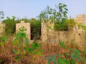 Three Bedroom Flat