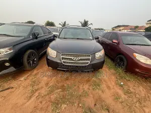 Hyundai Santa Fe 2007 Blue