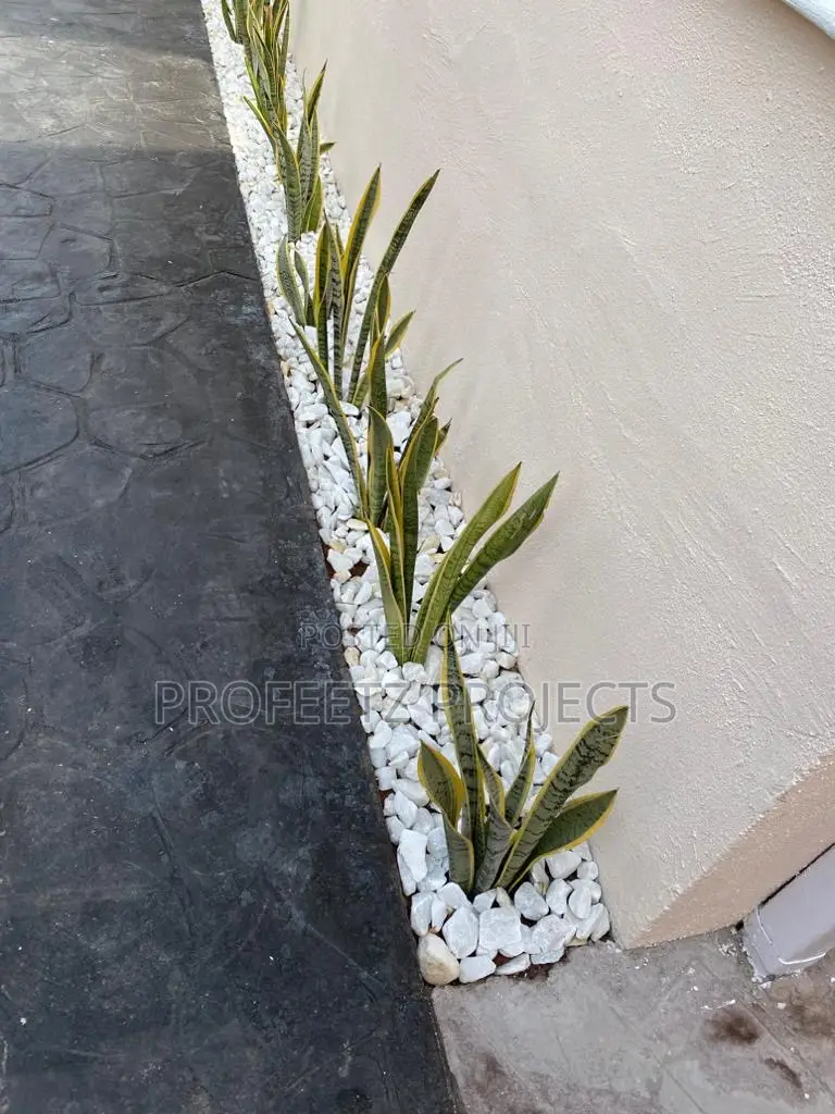 Floor Stamp Concrete