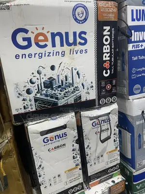 Genus Tubular Battery 12volts