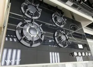 4 Gas and 1 Electric Burner