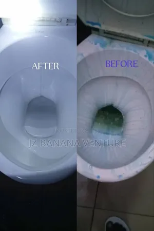 Cleaning Services in Umauhia