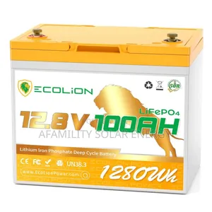 Ecolion 100ah Dry Cell