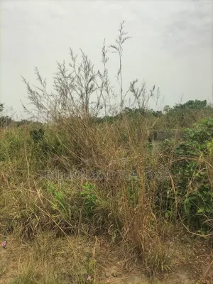 Residential Land in Epe