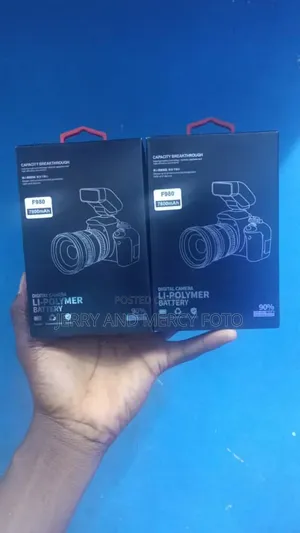 Sony F980 Battery