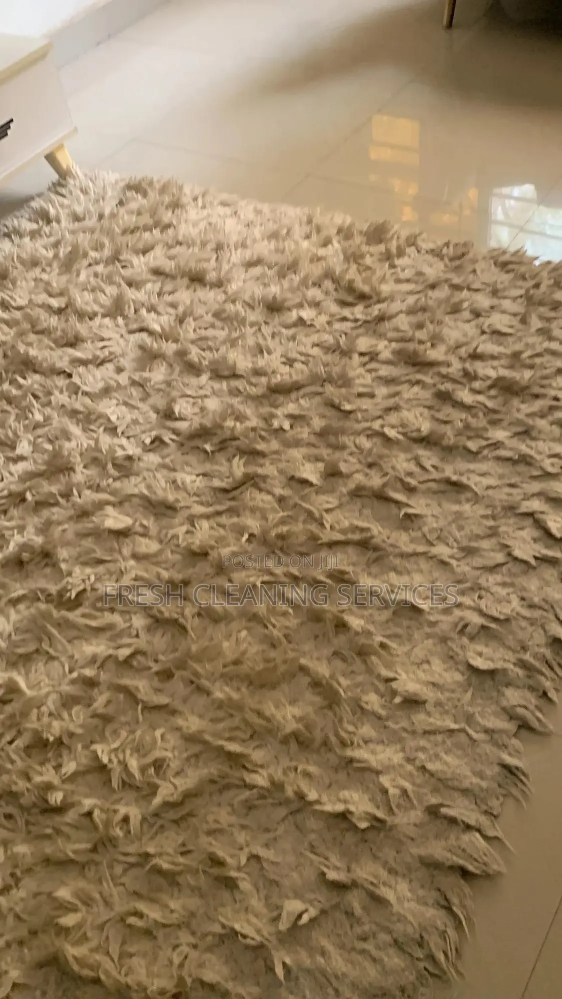 Detailed Professional Cleaning Laundry Services