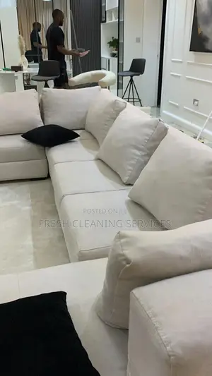 Equipped Professional Cleaning and Upholstery Revamp