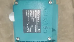 Calpeda Water Pump