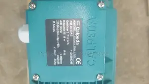 Calpeda Water Pump