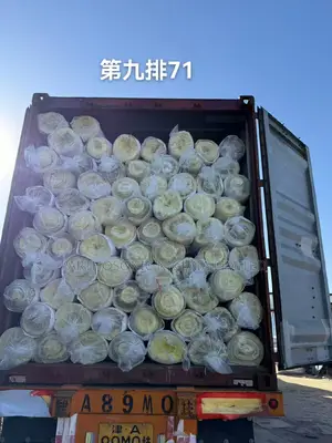 Fiber Glass